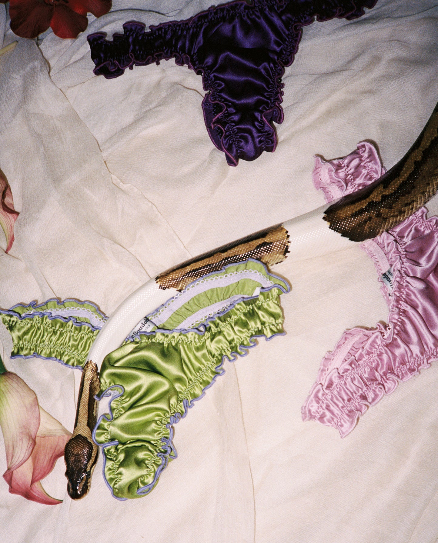 La Daphne - Pistachio and Purple Silk Tanga